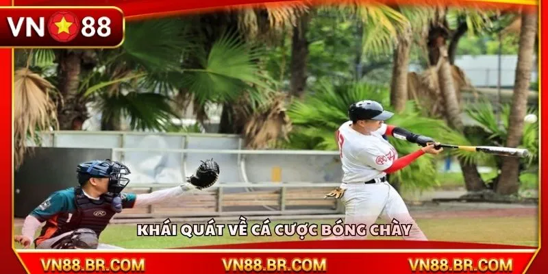 Khái quát về cá cược bóng chày