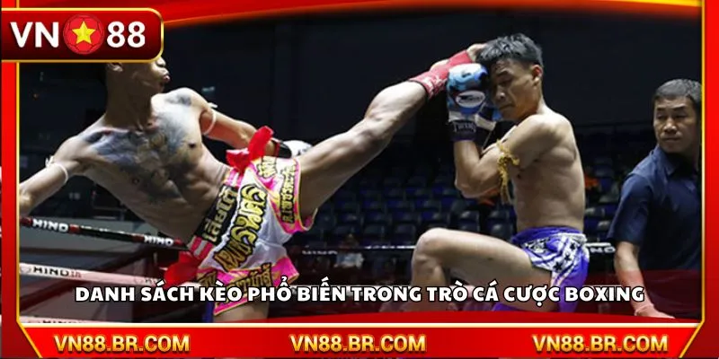 Danh sách kèo phổ biến trong trò cá cược Boxing