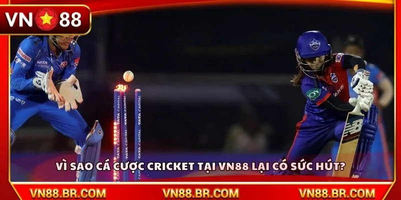 Vì sao cá cược cricket tại VN88 lại có sức hút?