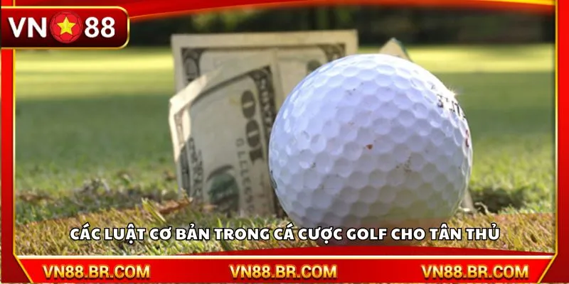 Các luật cơ bản trong cá cược Golf cho tân thủ